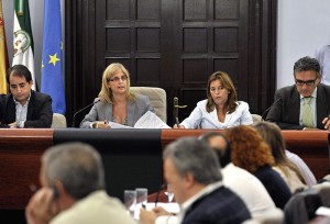 Alcaldesa preside Pleno ordinario _ 01