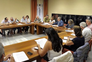 Comision_de_Pleno_de_Economia