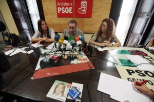 JAVIERFERGO_PSOE_1
