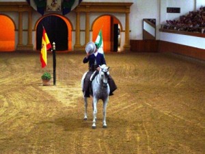 MCS - REAL ESCUELA ANDALUZA DEL ARTE ECUESTRE