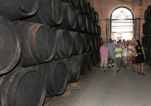 Visita a bodegas en Jerez