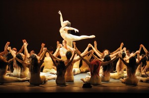 flick_flock_david_revuelta2