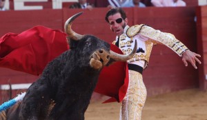 Juan José Padilla