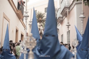 A. SELMA - Borriquita 2