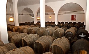 Bodega Valdivia 2