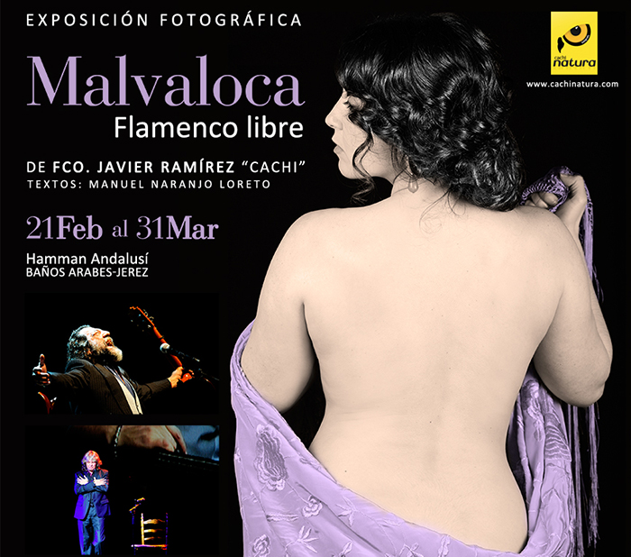 MALVALOCA web