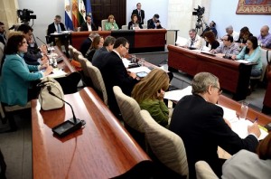 PlenoAbril2 (2)