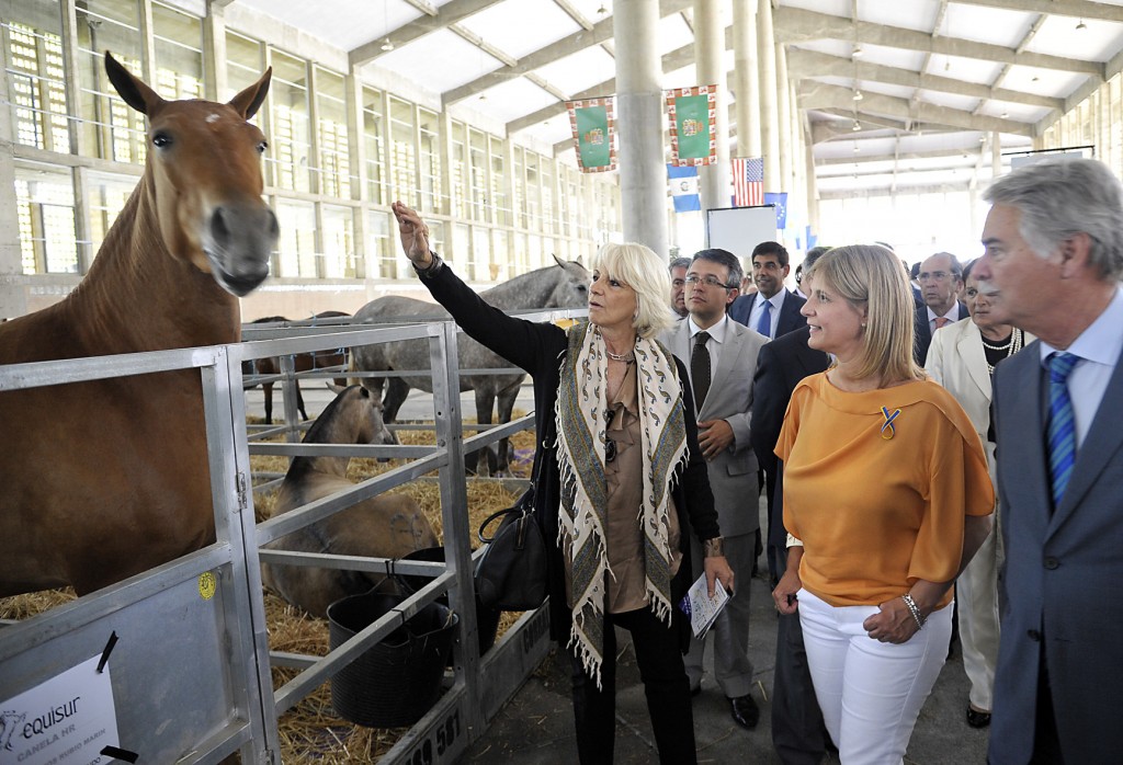 Alcaldesa_asiste_inaug_XXI_edicion_Equisur___03
