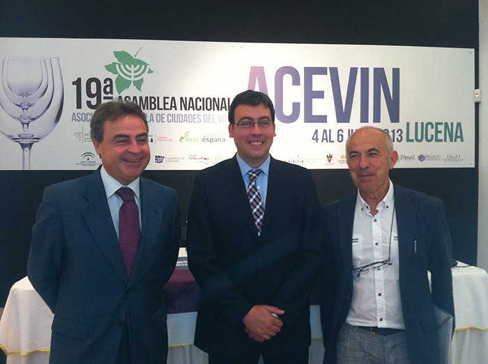 ACEVIN 2
