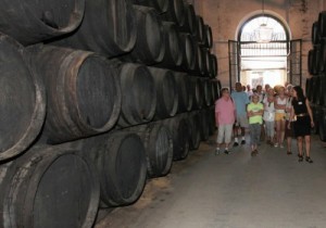 turismo bodegas