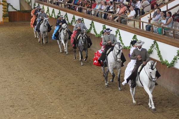 Caballos13