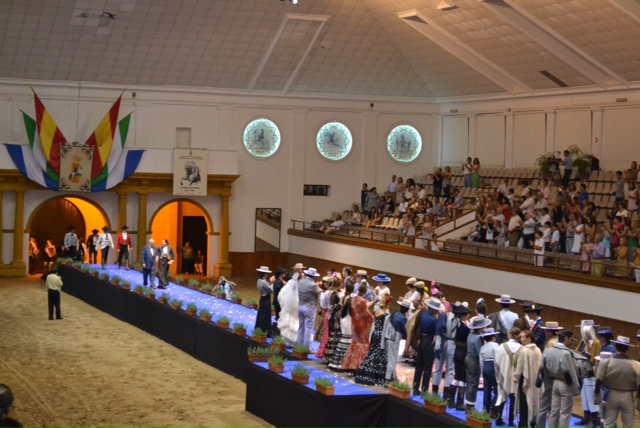 DESFILE6