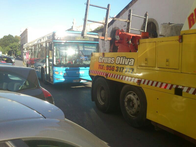 autobuses 3
