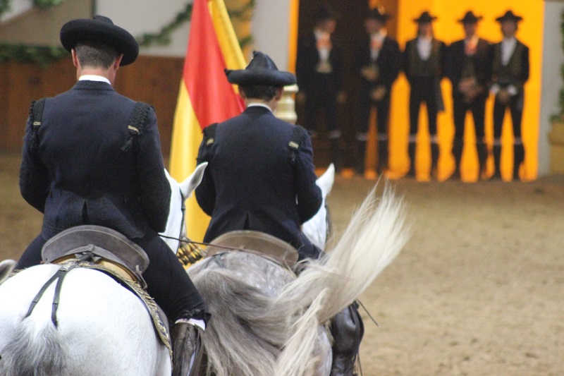 Caballos6