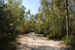 parque aguilillas