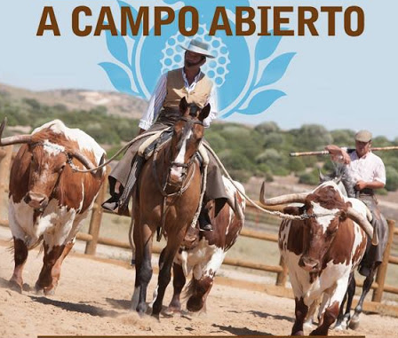 a-campo-abierto-jerez