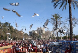 San Anton