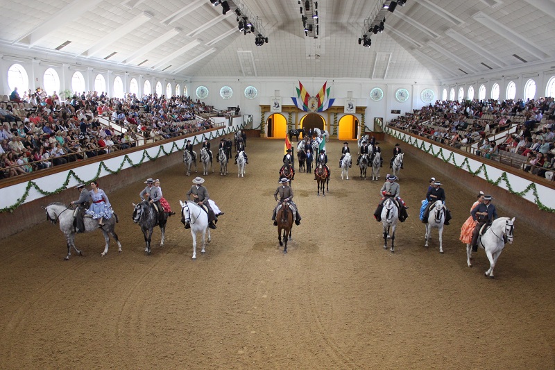Caballos10