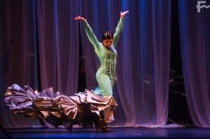 JAVIERFERGO_OCHANDO_008