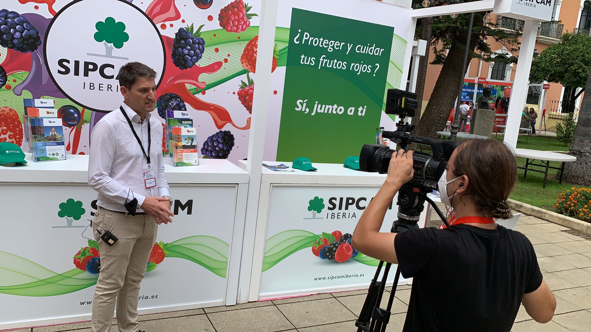 SIPCAM Iberia presenta en Huelva el biofungicida Araw para berries