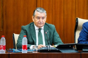 Antonio Sanz Comisión Parlamentaria 240926