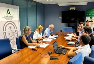 Reunión con Endesa 2